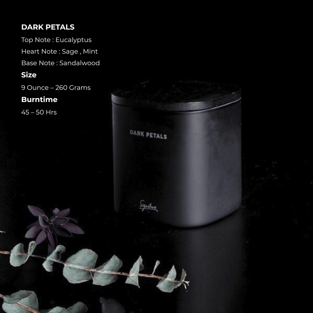 Eucalyptus Sage Mint & Sandalwood Dark Petals Scented Candle